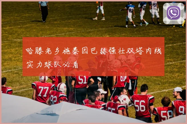 哈滕老乡施泰因巴赫强壮双塔内线实力球队必看